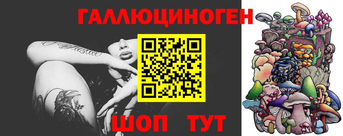 Знаменск  Псилоцибиновые грибы Cubensis  где можно купить   Вход с VPN  Псилоцибиновые грибы мицелий 